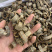 厚朴姜厚朴无硫磺熏蒸一公斤起批