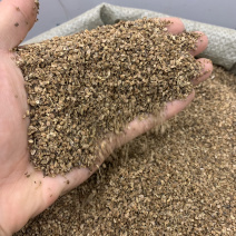 蛇床子过风机纯干净货一公斤起批