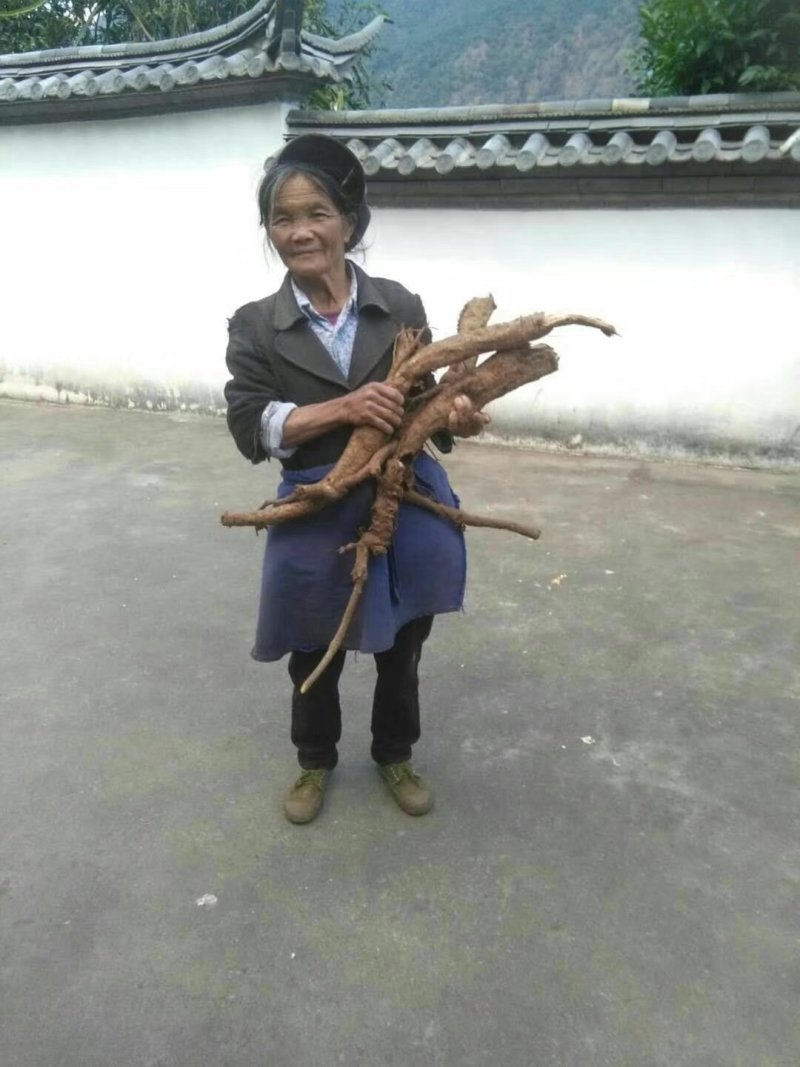 云南丽江野生葛根干货