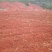 山地出租