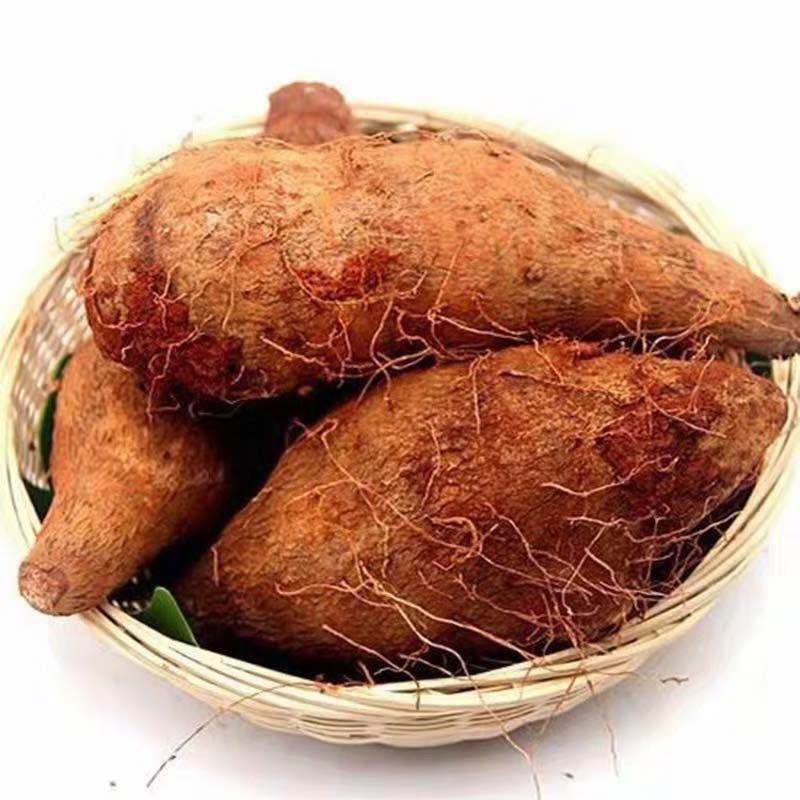山药批发秤砣山药坨坨山药批发