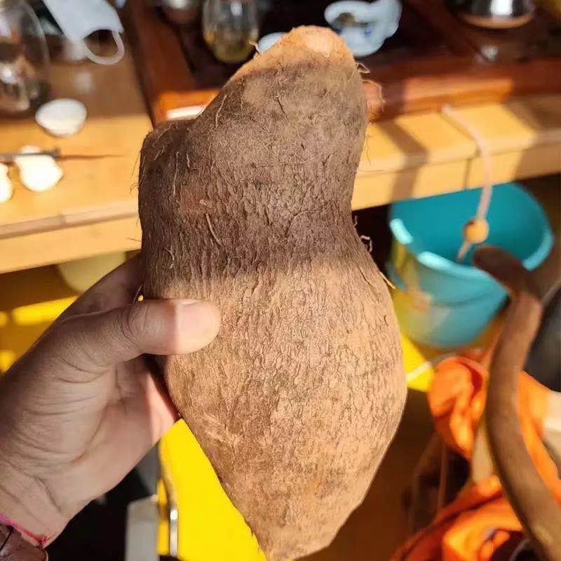 山药批发秤砣山药坨坨山药批发