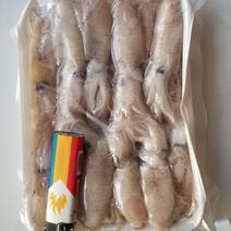 小鱿鱼一手货源找全国实力经销商合作常年加工朝鲜各种鱼类贝