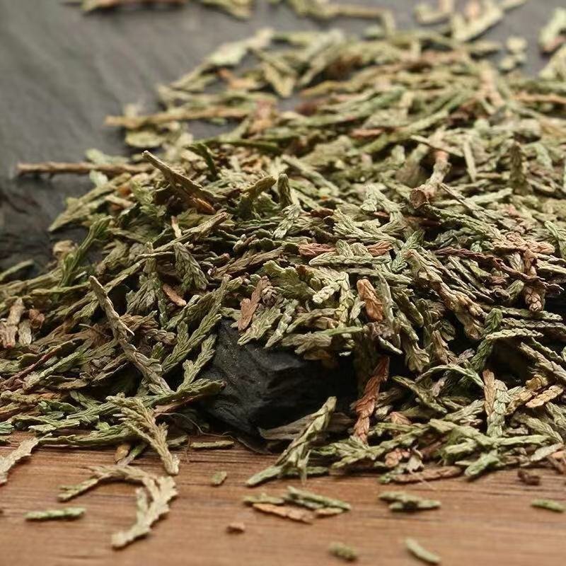 柏叶干柏叶侧柏叶各种中药材包邮