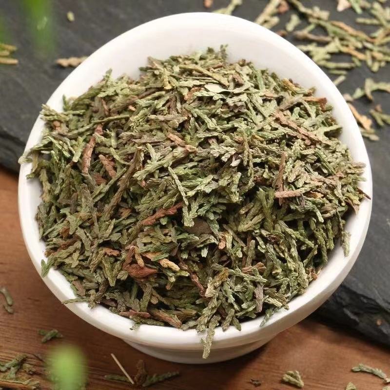柏叶干柏叶侧柏叶各种中药材包邮