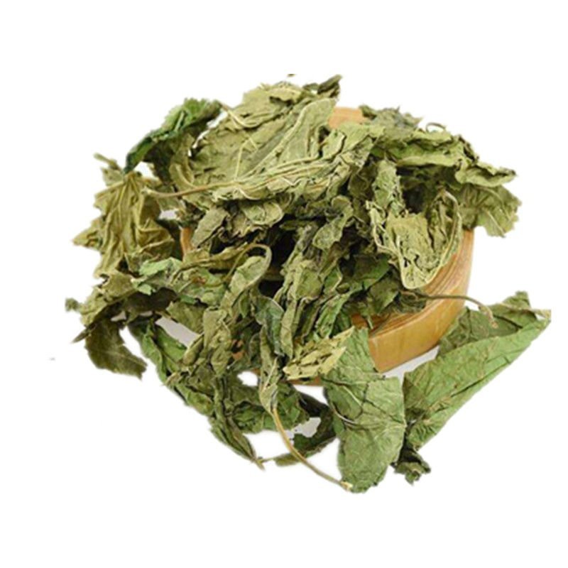 桑叶桑树叶青桑叶霜桑叶各种中草药
