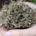 谷精草珍珠草鱼眼草各种草药类中药材