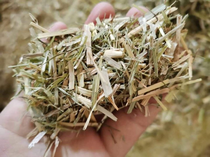 稻草泥柔软干草饲料兔子谷草保暖稻草垫纤维天然草垫窝