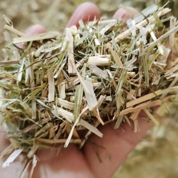 稻草泥柔软干草饲料兔子谷草保暖稻草垫纤维天然草垫窝