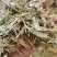 稻草泥柔软干草饲料兔子谷草保暖稻草垫纤维天然草垫窝
