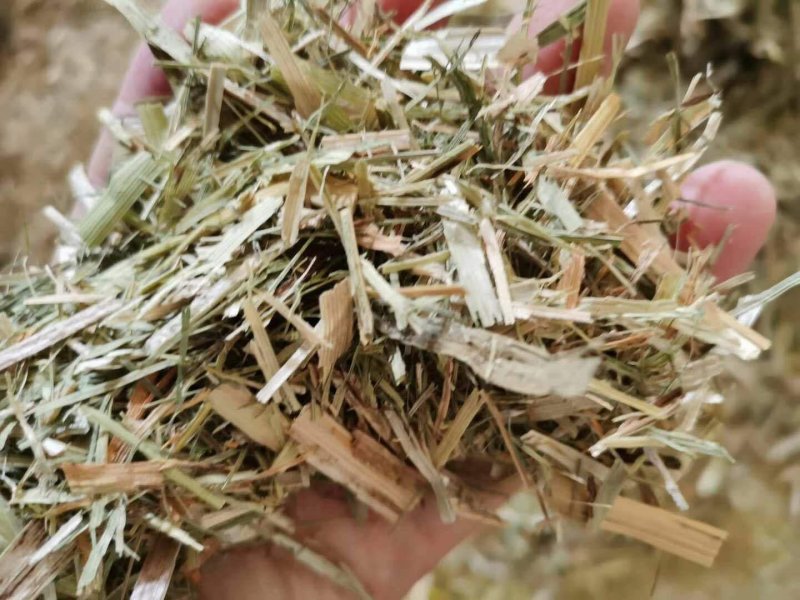 稻草泥柔软干草饲料兔子谷草保暖稻草垫纤维天然草垫窝