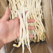 川明参四川金堂货，需要的联系量大从优