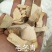 毛冬青毛冬青片毛冬青根片各种中药材