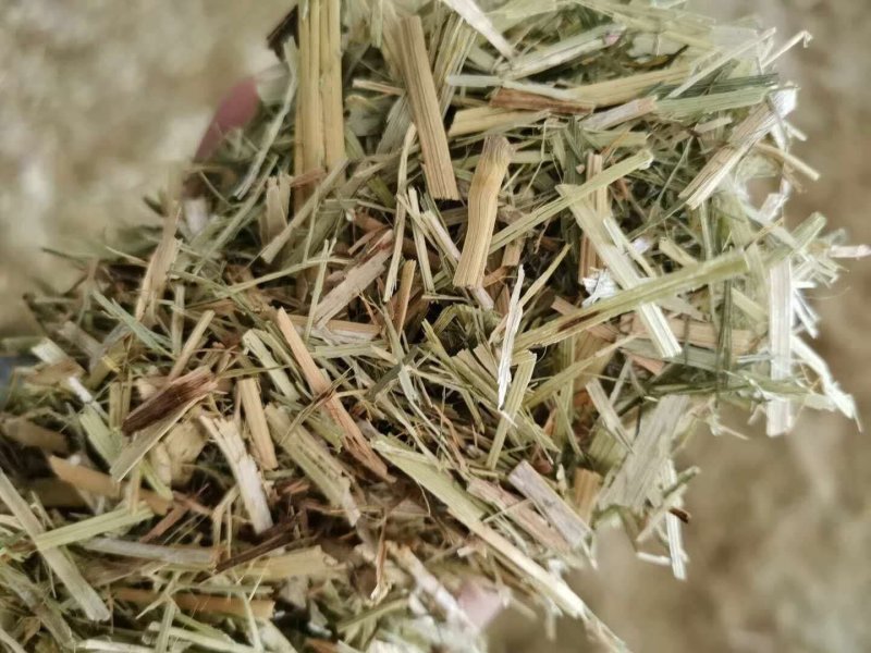 【有好货呦】量大优惠谷草压块牛羊青储饲料动物养殖饲料现