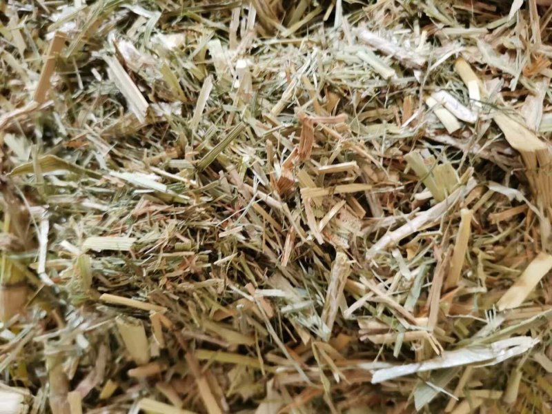 【有好货呦】量大优惠谷草压块牛羊青储饲料动物养殖饲料现