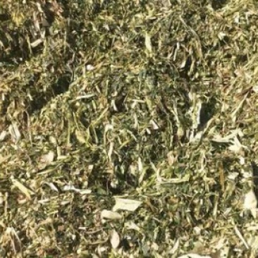 厂家批发玉米秸秆青储饲料装袋青干草牛马羊植物性饲料