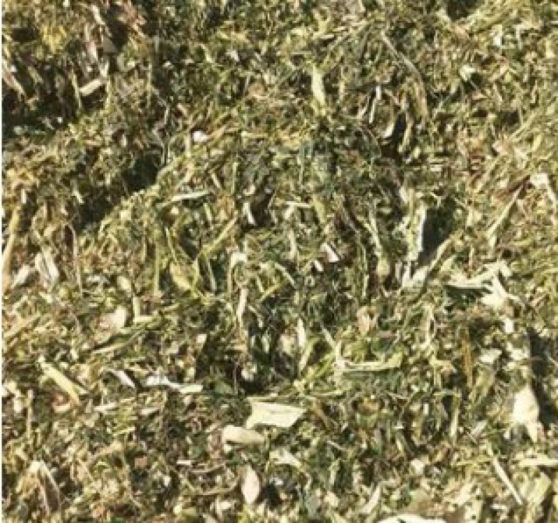 厂家批发玉米秸秆青储饲料装袋青干草牛马羊植物性饲料