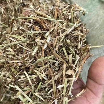 直发牛羊养殖植物性饲料轧断花生秧花生秧粉花生秧草无霉变无
