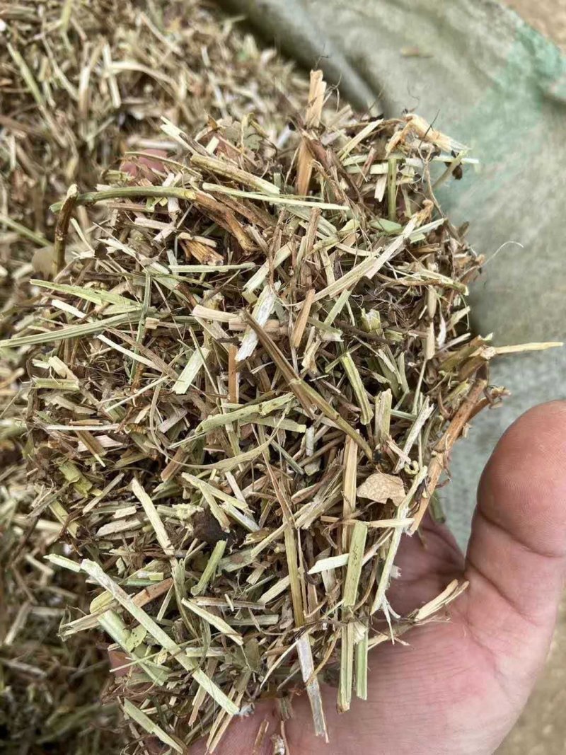 直发牛羊养殖植物性饲料轧断花生秧花生秧粉花生秧草无霉变无