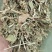 直发牛羊养殖植物性饲料轧断花生秧花生秧粉花生秧草无霉变无