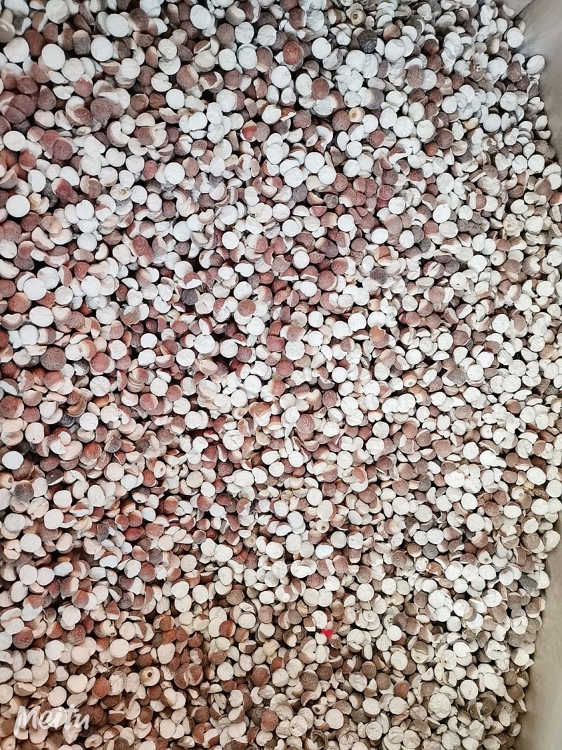 芡实整颗/半开各种规格芡实米鸡头米产地直销品质保证