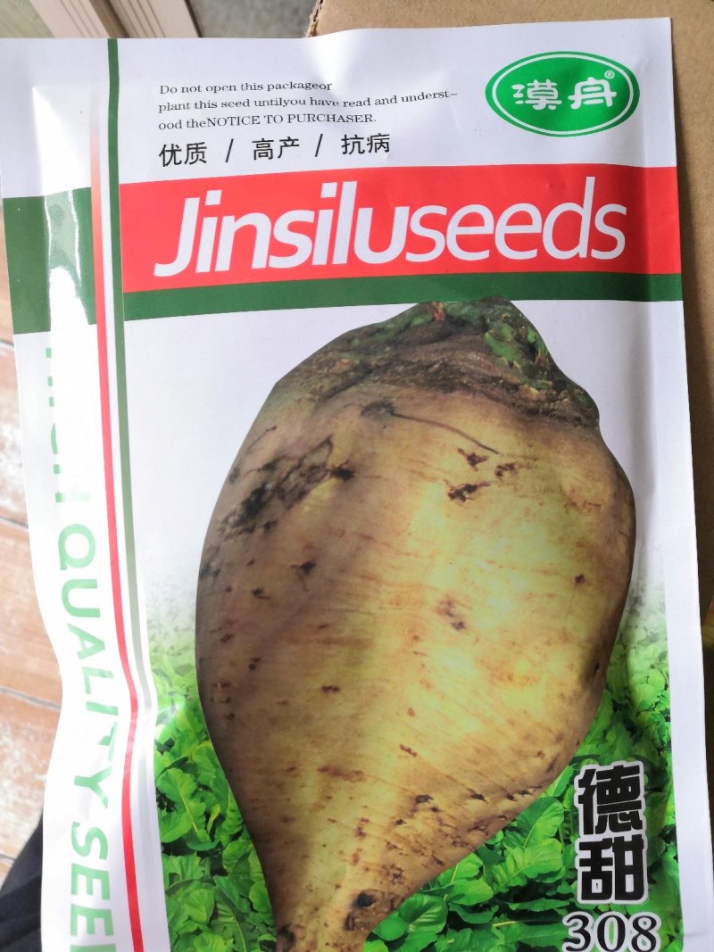 甜菜种子高产甜菜种子