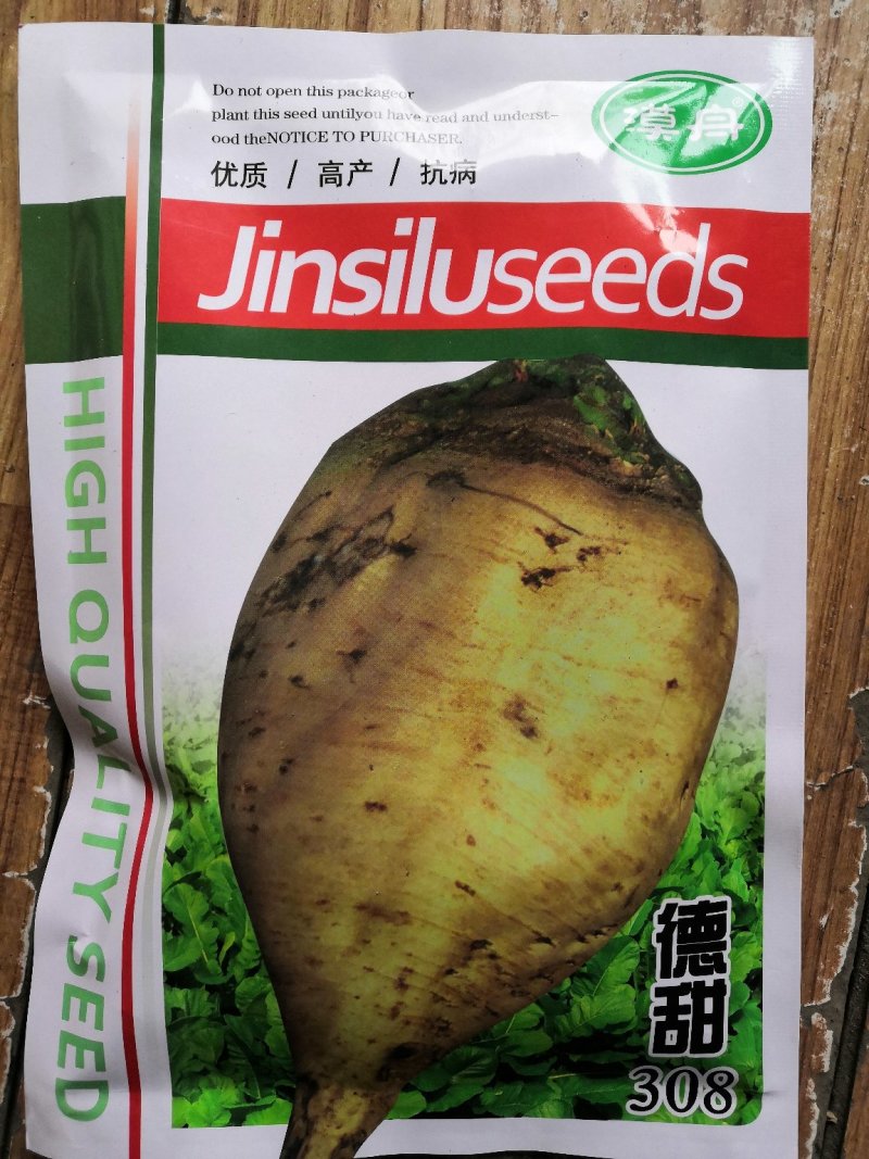 甜菜种子高产甜菜种子