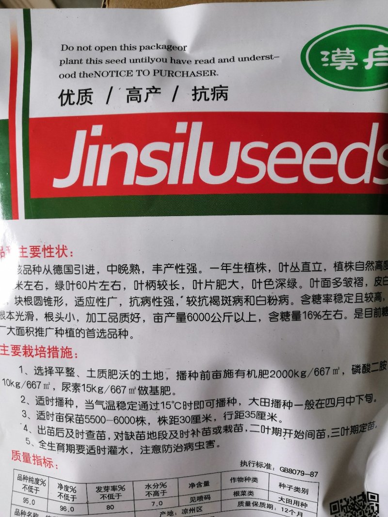 甜菜种子高产甜菜种子