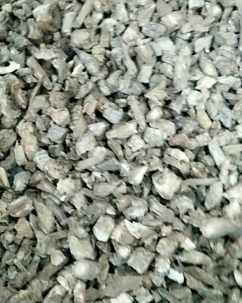 川断，常年批发供应川断中药材，量大从优