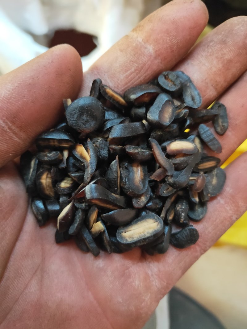 木鳖子番木鳖马钱货好量大代抓各种药方诚信经营