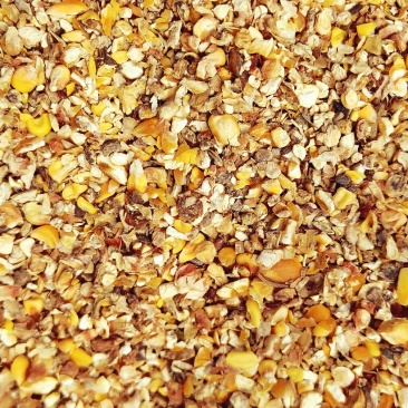 碎玉米过风净粮2022新粮鸡鸭鹅专用粮