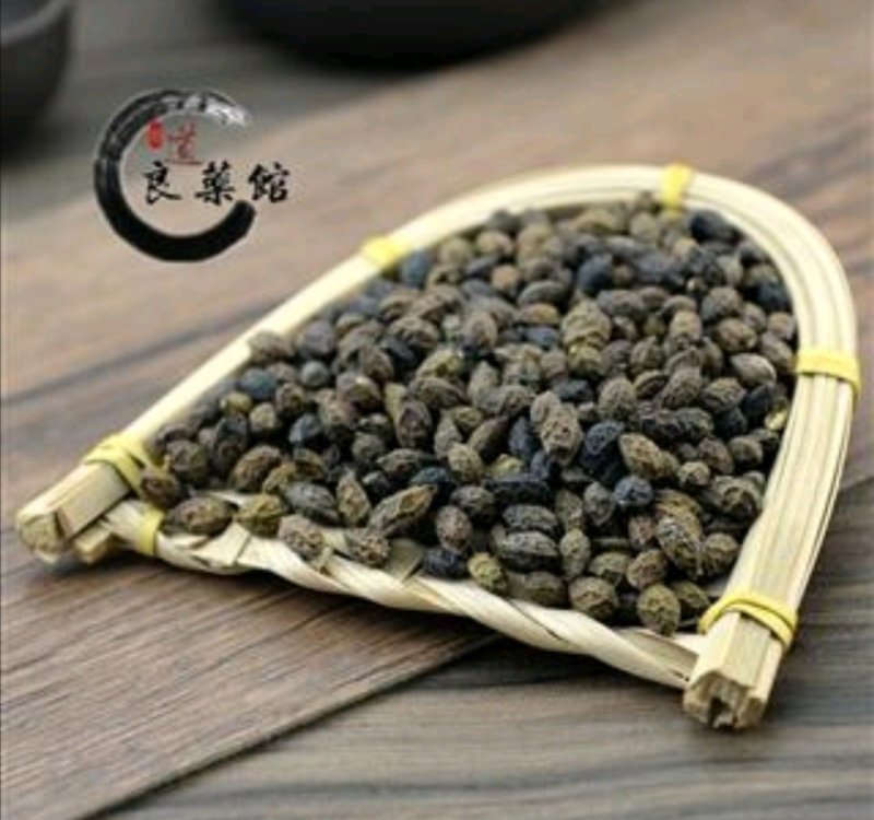 鸦胆子，产地广西，药典标准，道地药材，支持线上交易保障