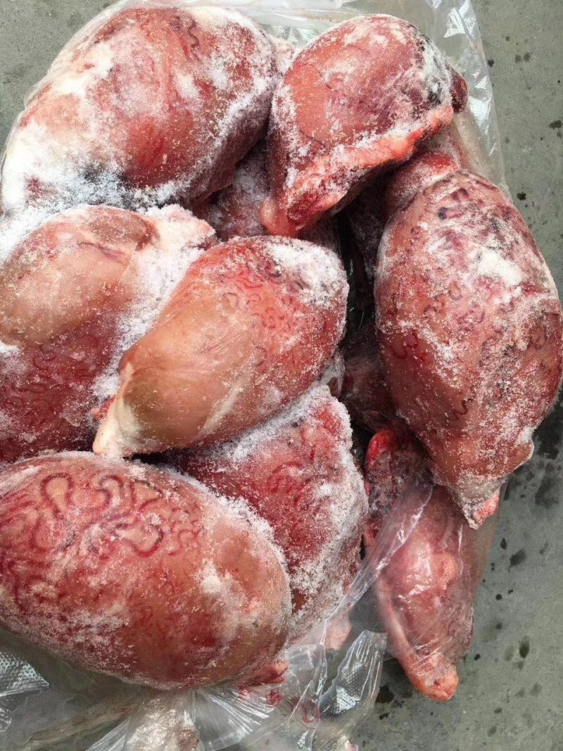 牛宝，大小均匀，进修无油，干净