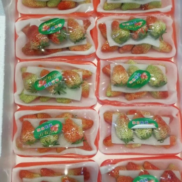 草莓