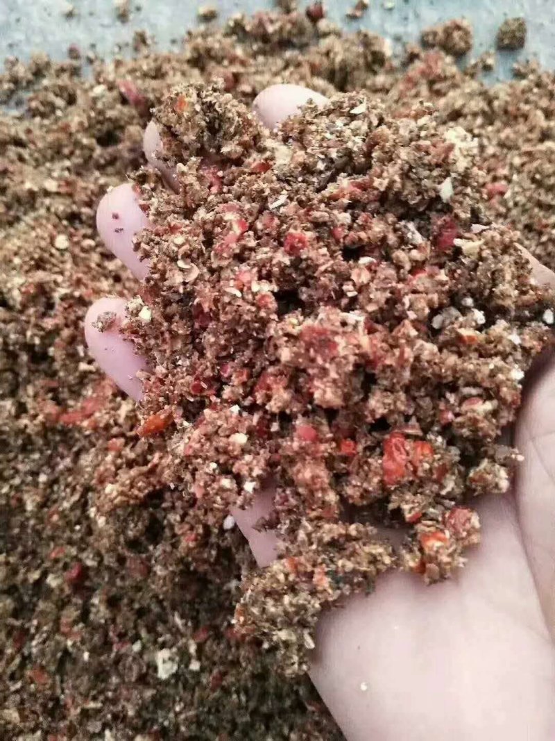 常年供应枣粉饲料枣肉合适牛羊猪大量现货量大优惠