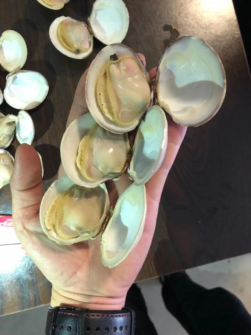 美贝