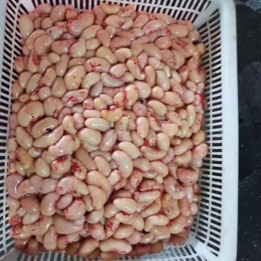 鸡腰子没有水的公鸡腰子纯质量好价格不高