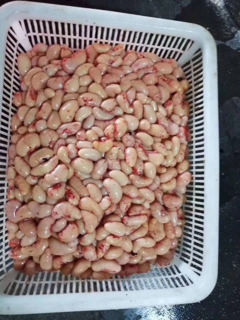 鸡腰子没有水的公鸡腰子纯质量好价格不高