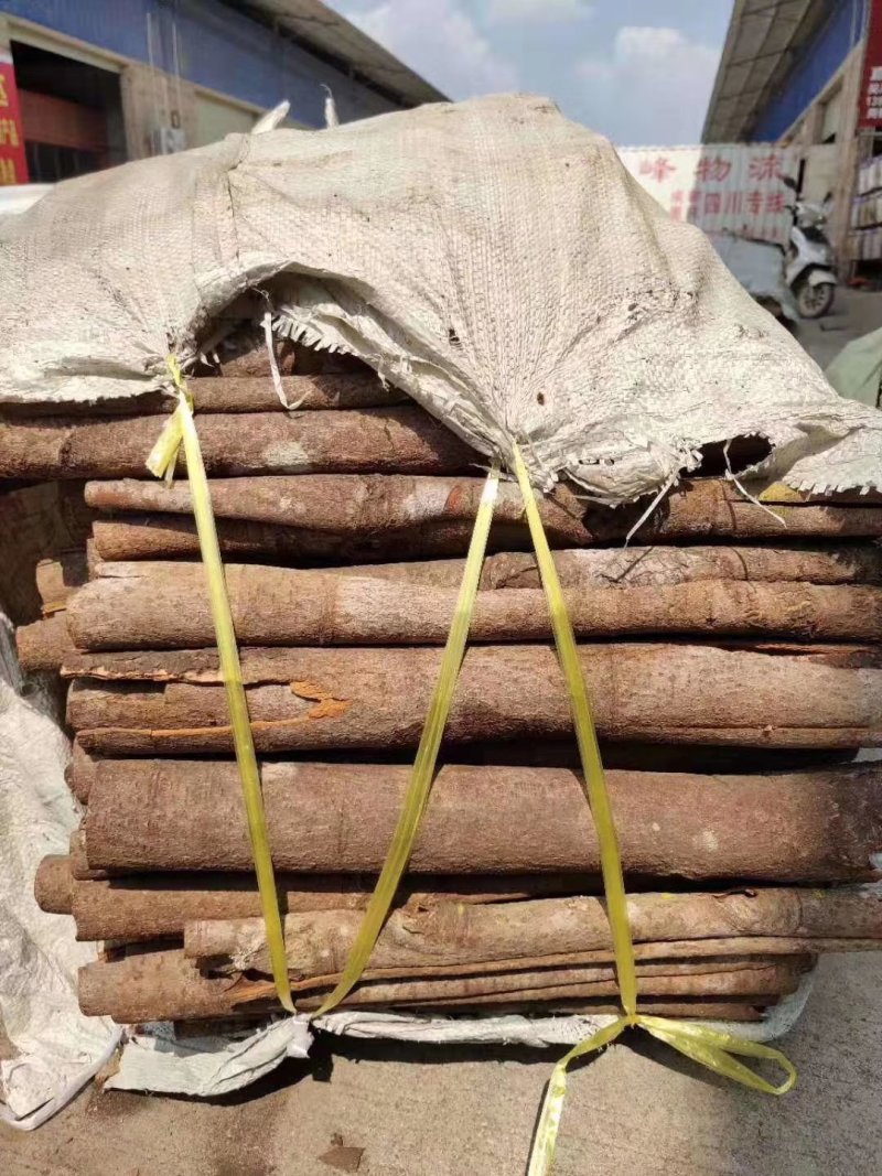 桂通纯正肉桂优质桂通十三香调味香料大通中通小通