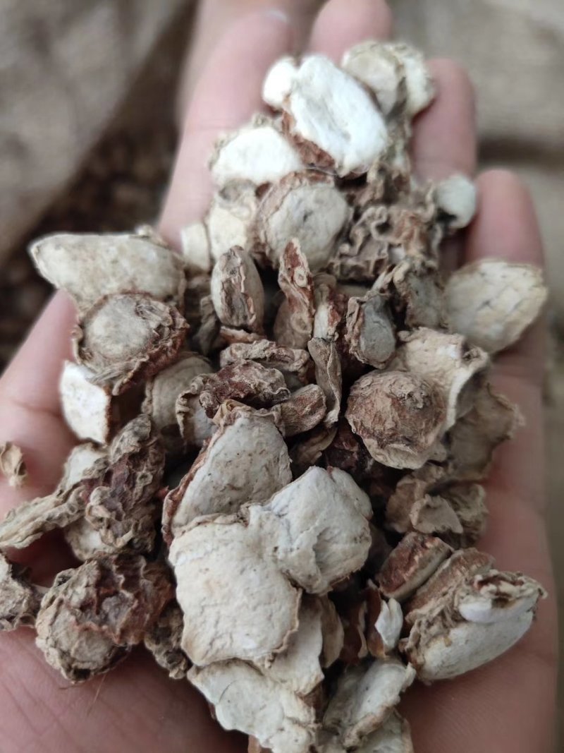 沙姜干山奈丁香料调味香料沙姜卤水炖肉烧菜火锅麻辣烫钓鱼卤