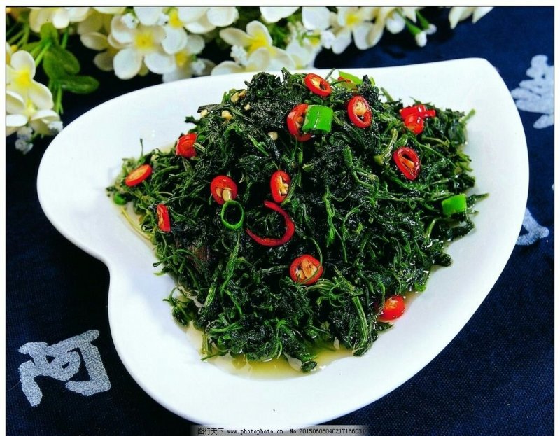 灰灰菜