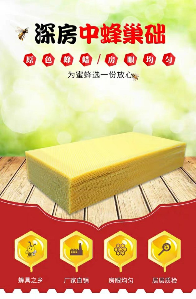 中蜂巢础蜜蜂巢础