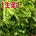 生菜〔产地直销一手货源〕代发全国看货议价