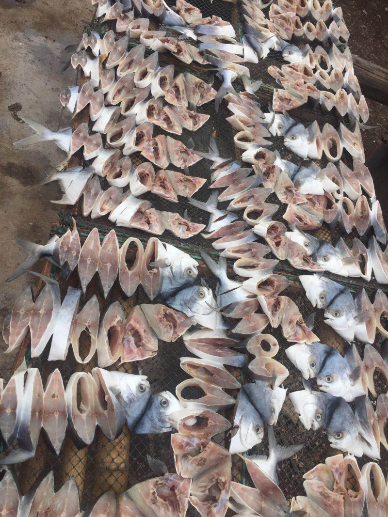 自产自销一夜埕马友马胶黄花金丝金昌一件代发电商