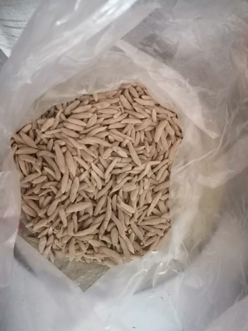 川麦冬，地道中药，产地热销，一手货源，需要的朋友可以联系