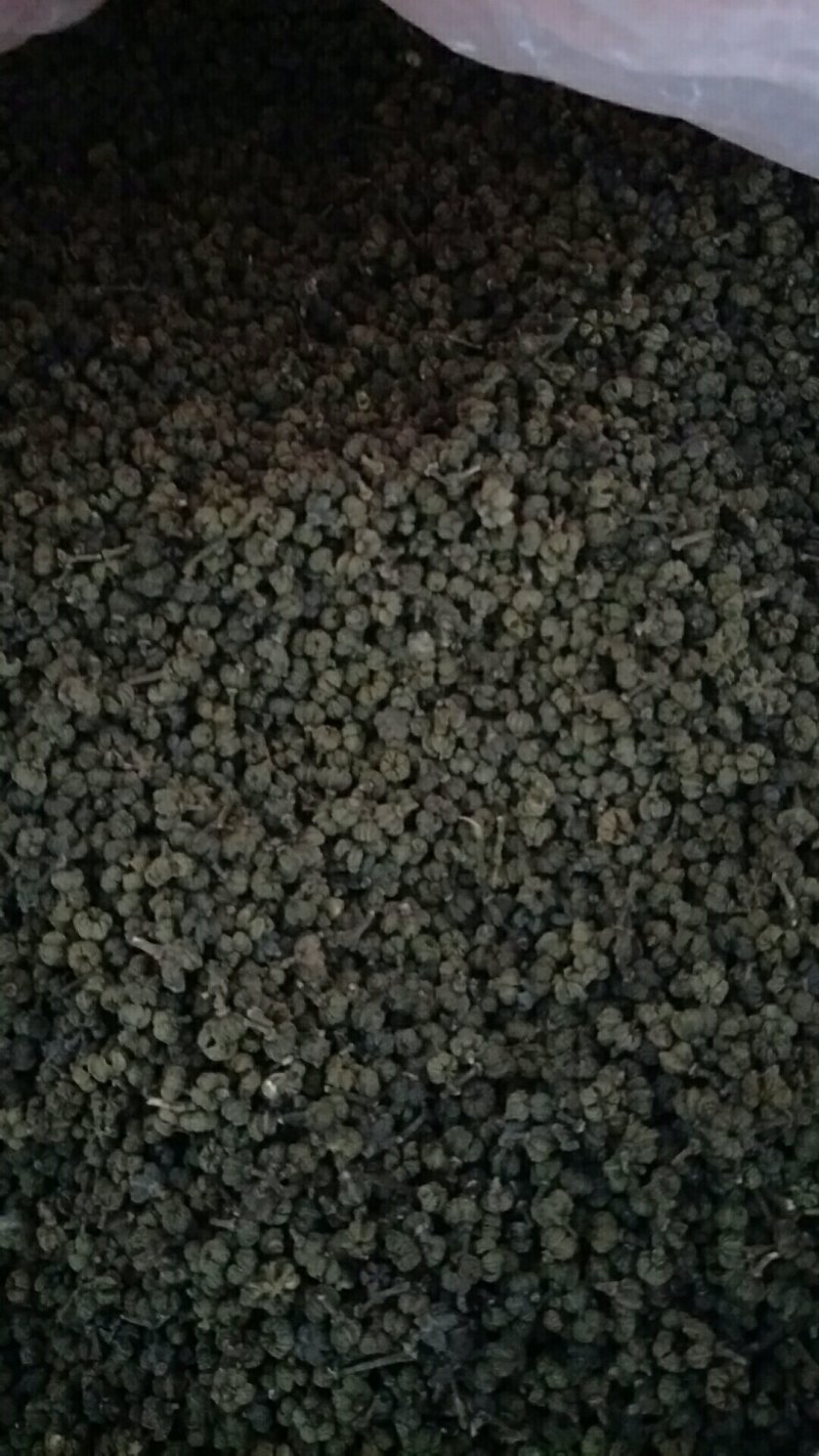 茣茱萸精品小粒中花茣茱萸