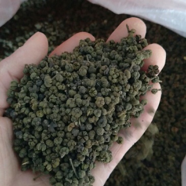 茣茱萸精品小粒中花茣茱萸