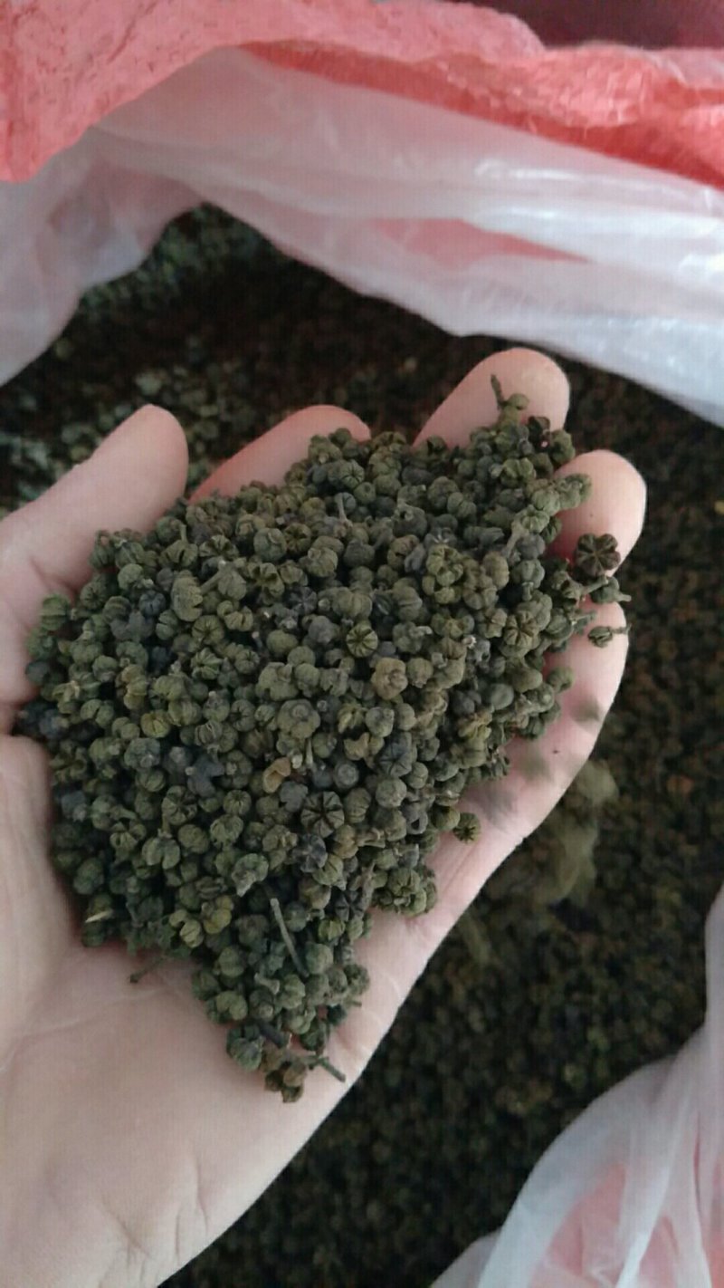 茣茱萸精品小粒中花茣茱萸