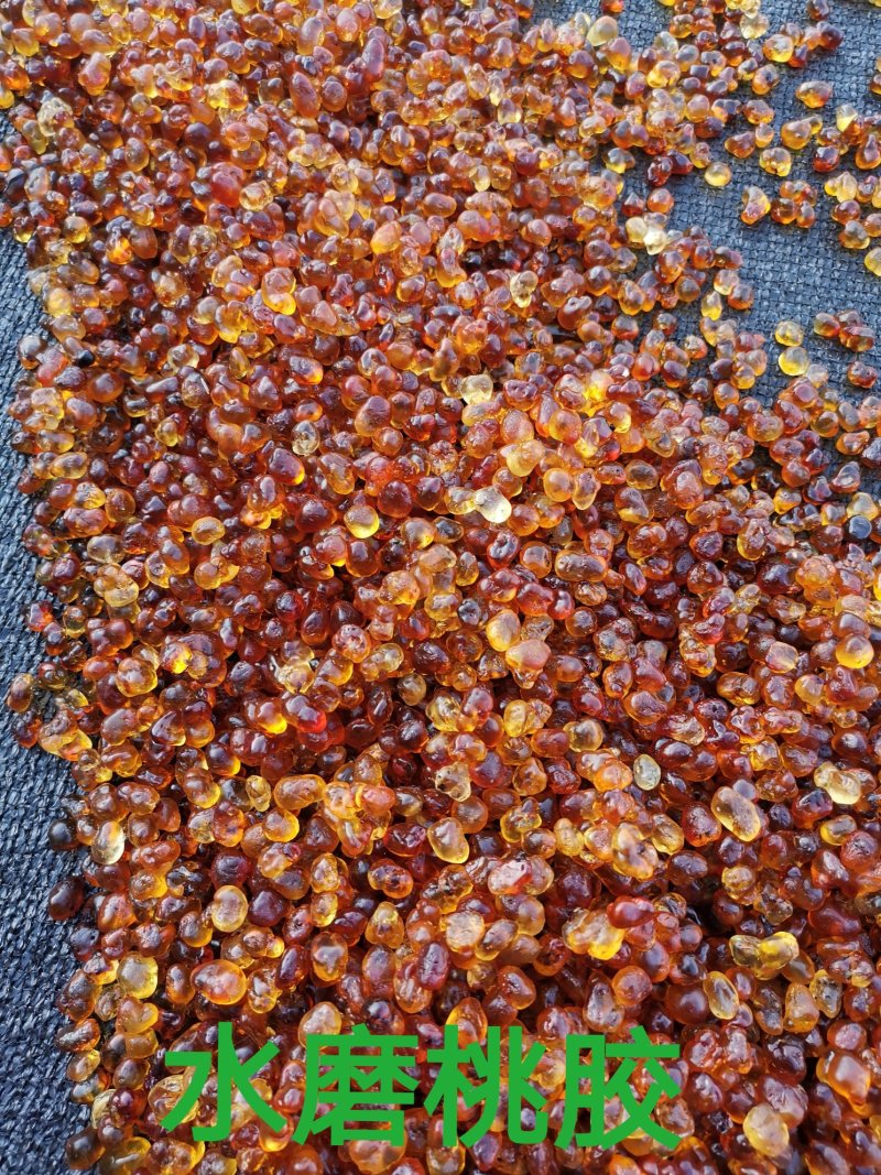 桃胶（机磨水洗精品靓黄红色各种规格）