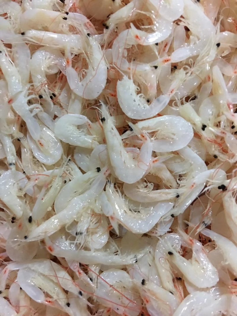 虾皮